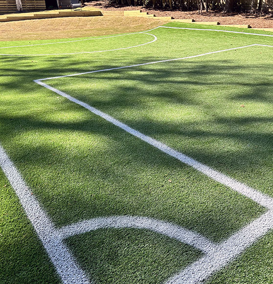 up-close view of new goalie practice field stripin