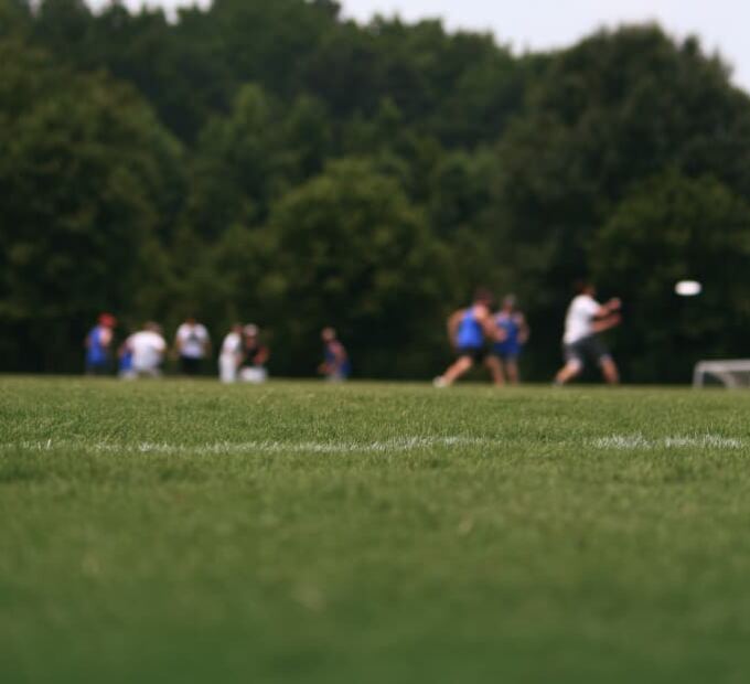 Frisbee field markings