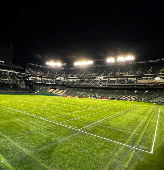 football field markings in arlington, tx