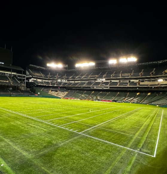 football field markings in arlington, tx