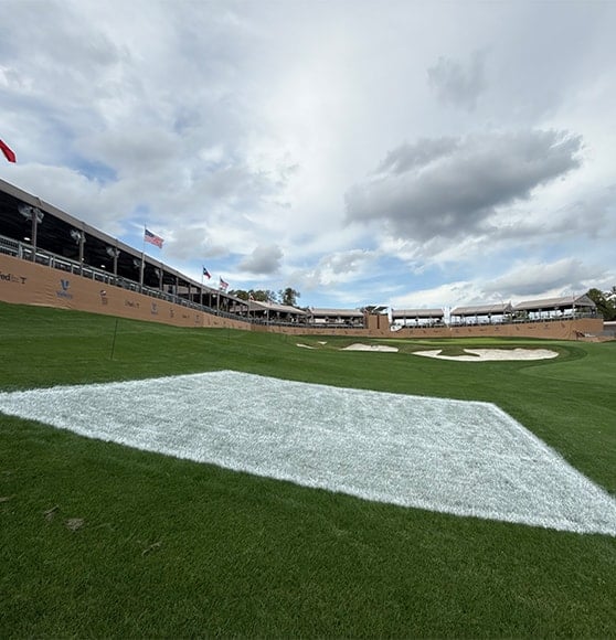 white freshly painted square on Valero Texas Open field