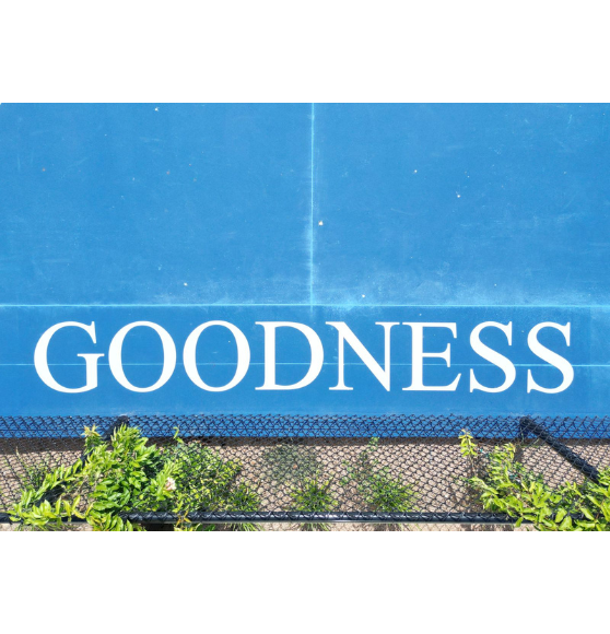 After Custom Basketball Court Graphics for Great Hearts Monte Vista in San Antonio, TX