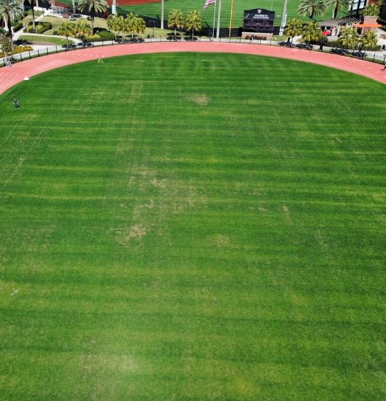 University of Tampa soccer field before line markings were added