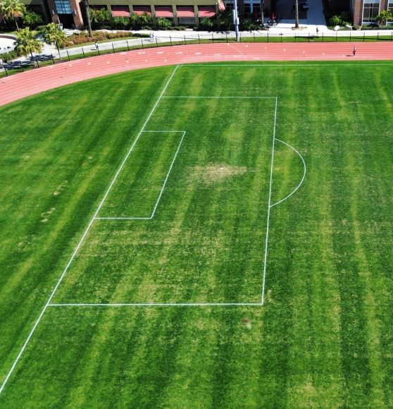 line markings freshly painted for University of Tampa soccer field