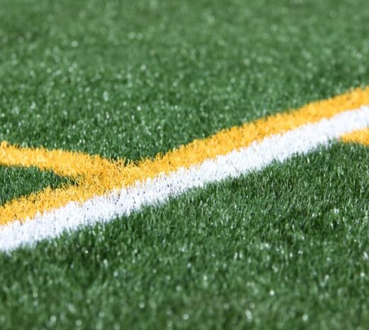 close-up of fresh striping on field