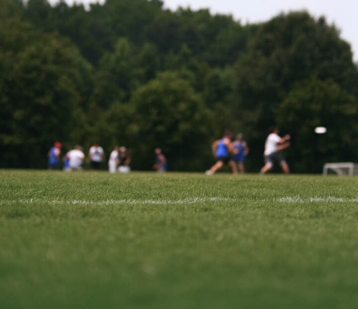 striped ultimate frisbee field