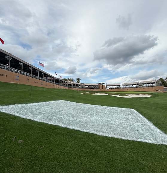 white freshly painted square on Valero Texas Open field